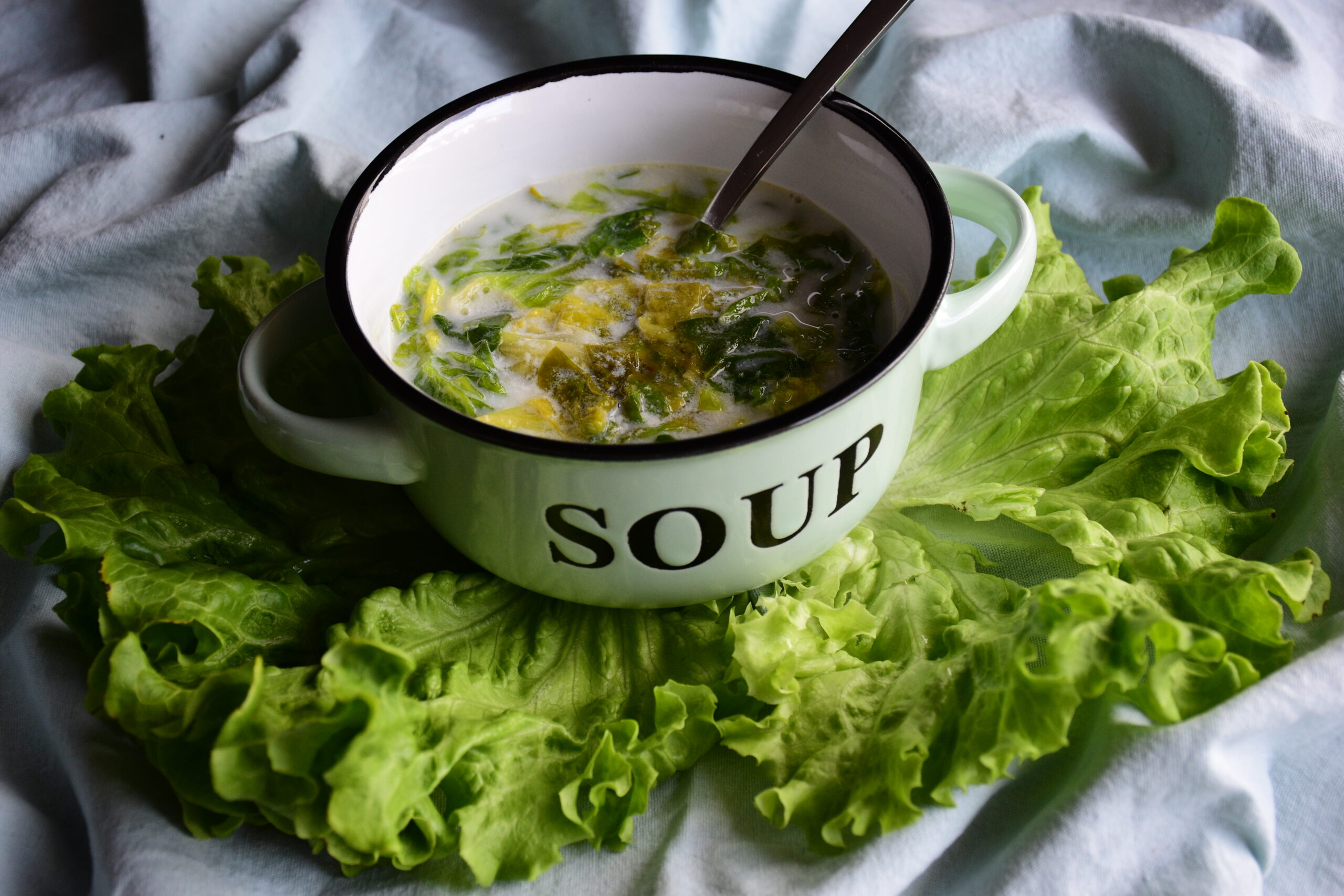 Ciorbă de salată verde