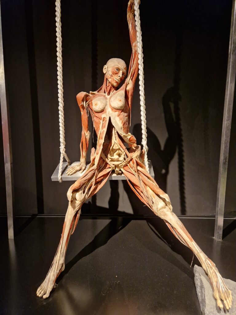 Body Worlds