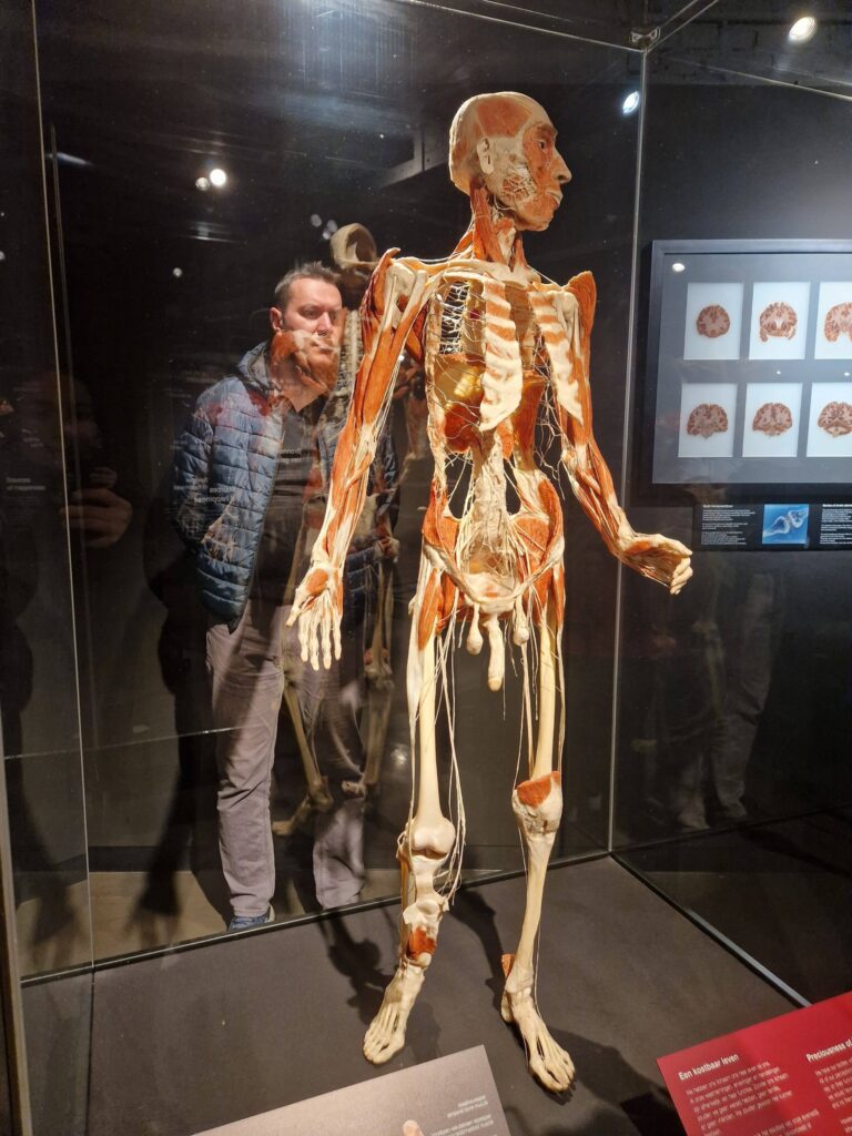 Body Worlds